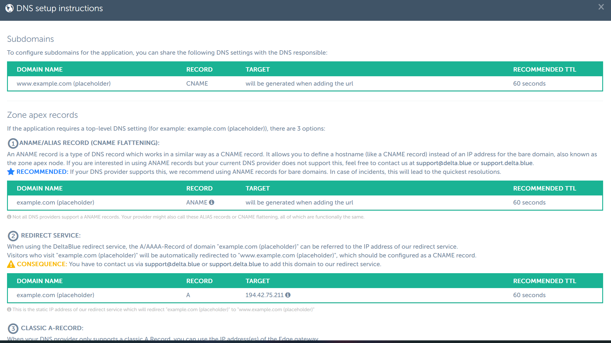 dns details